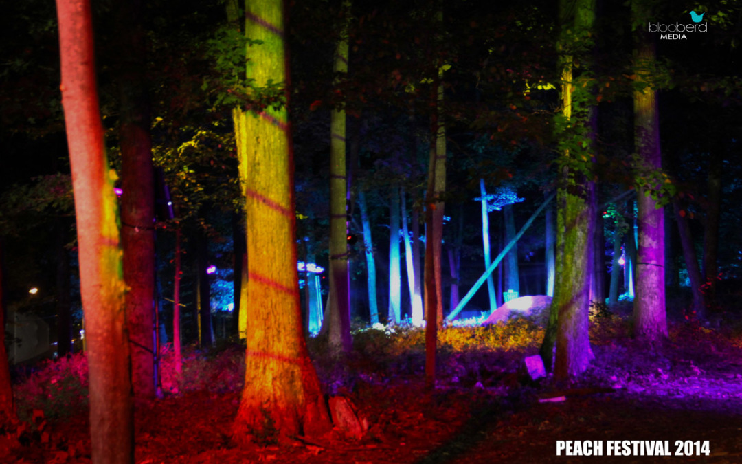 Peach Festival 2014