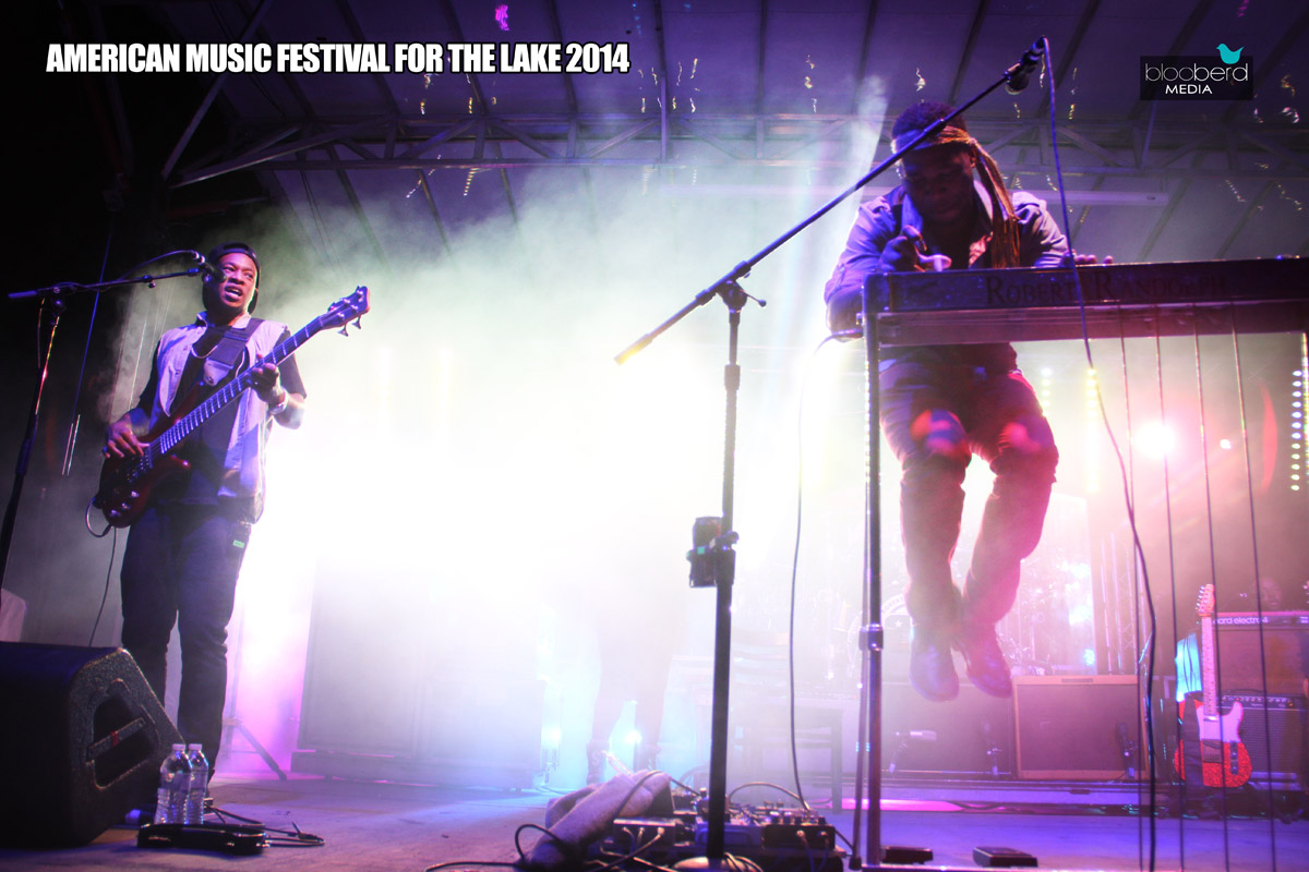 Festival for the Lake 2014