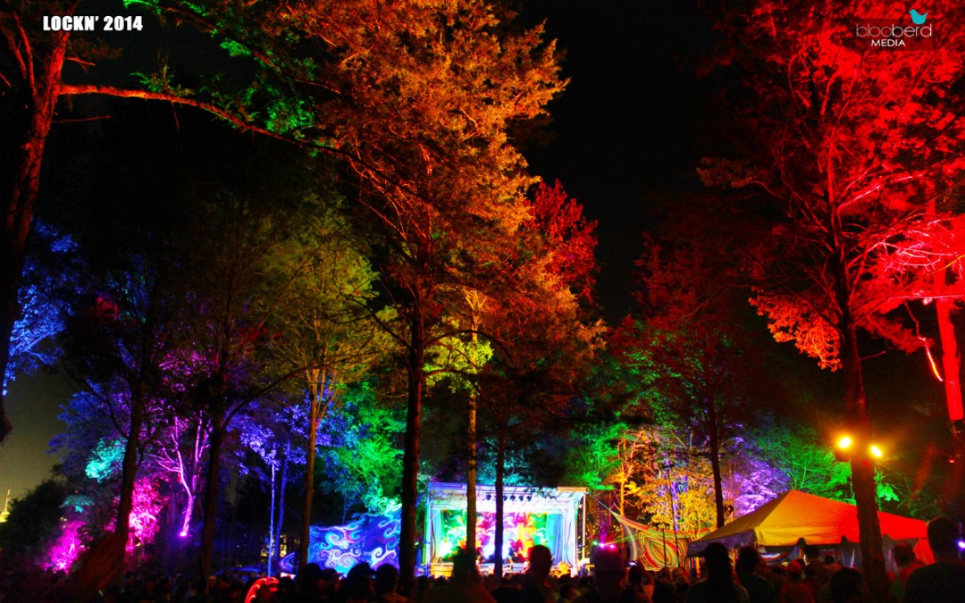 Lockn’ 2014